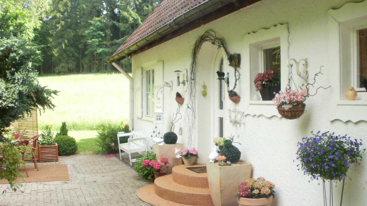 Gaestezimmer Im Haus Am Wald Фройденштадт Экстерьер фото