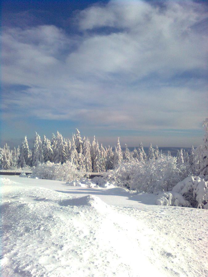 Gaestezimmer Im Haus Am Wald Фройденштадт Экстерьер фото